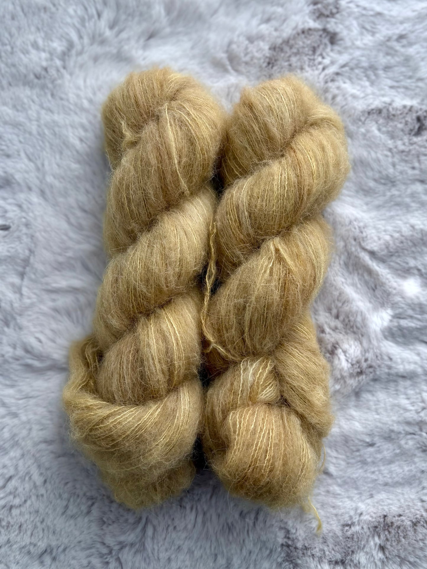 era // suri lace