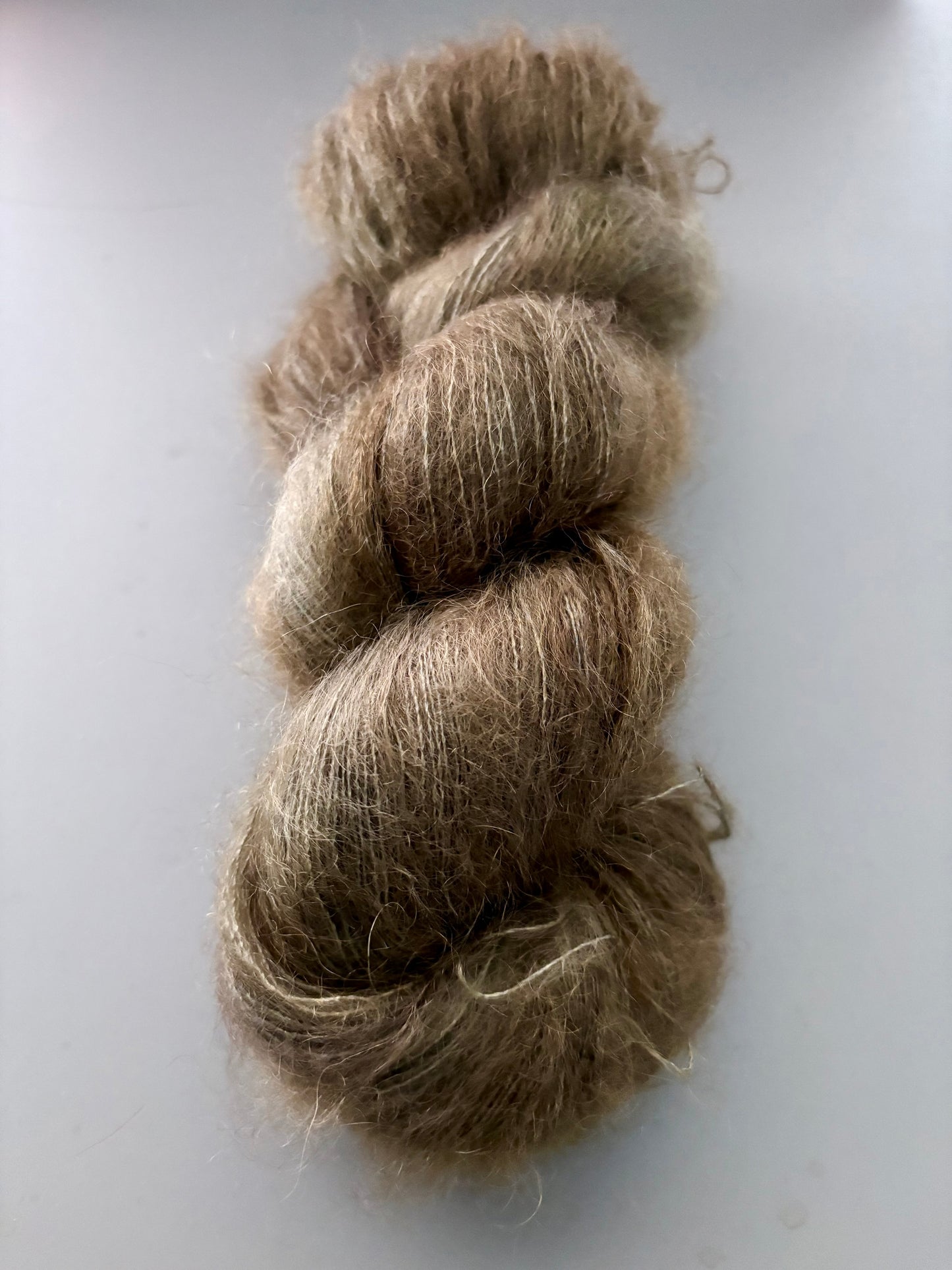 alder
