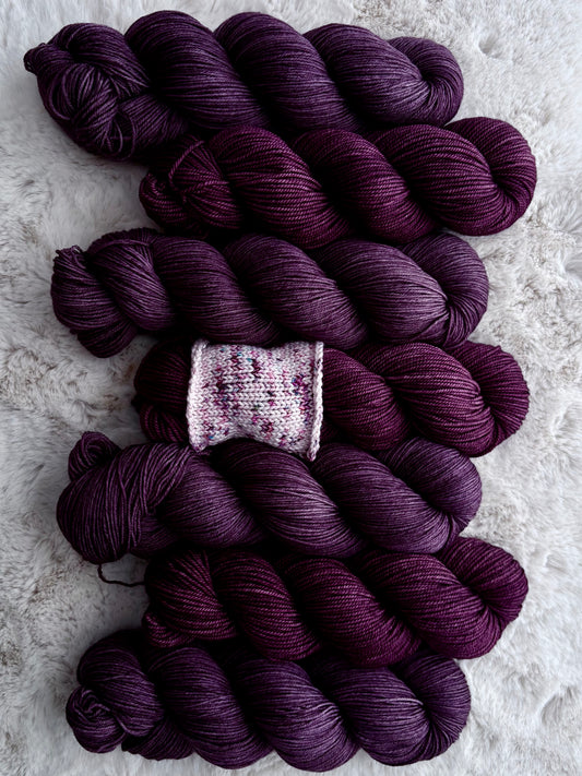 ✨CLUB 55 //The Main Street Skein Society // ENCHANTED ✨